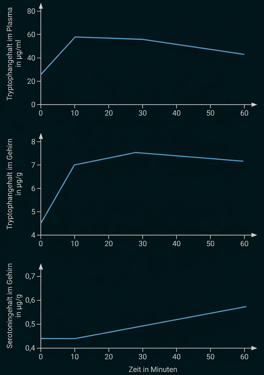 Drei Diagramme zeigen Tryptophan- und Serotoningehalt in Plasma und Gehirn über 60 Minuten.